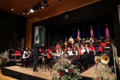 Bild15