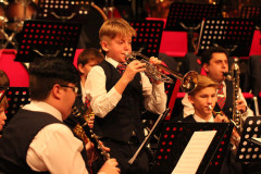 Bild39